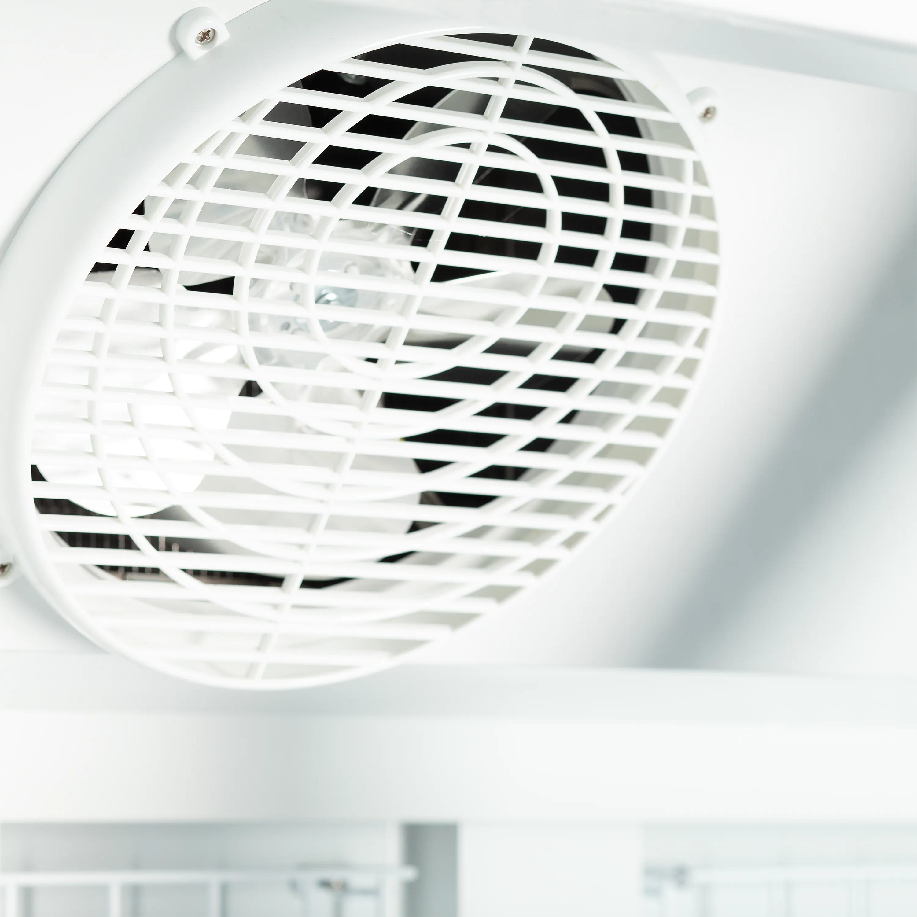 Atom Maxi F2DB Commercial Double Glass Door Display Freezer with Bottle Shelf & Legs – Black, Ventilated Cooling, -18 to -22°C